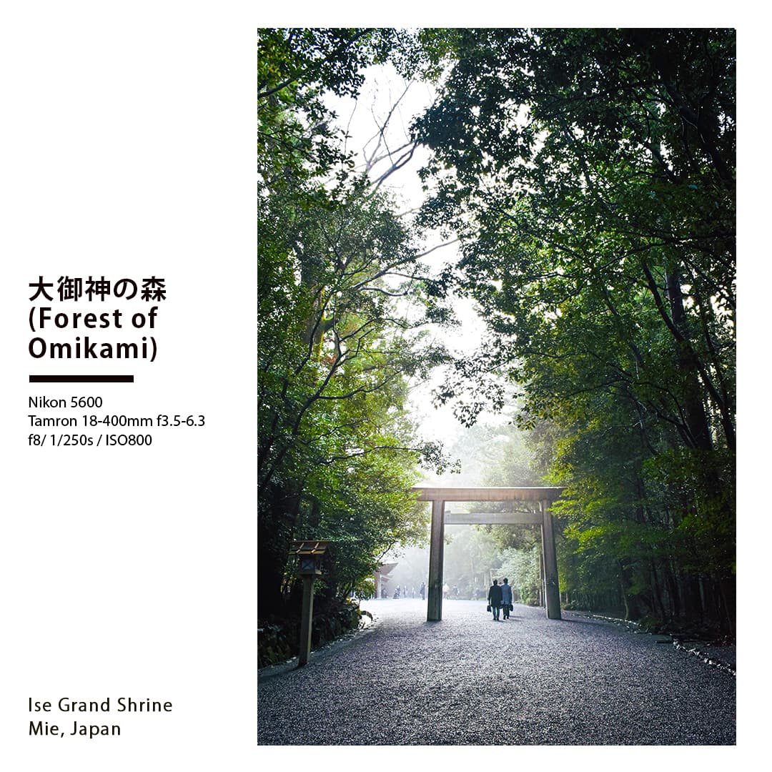 Portfolio - Forest of Omikami
