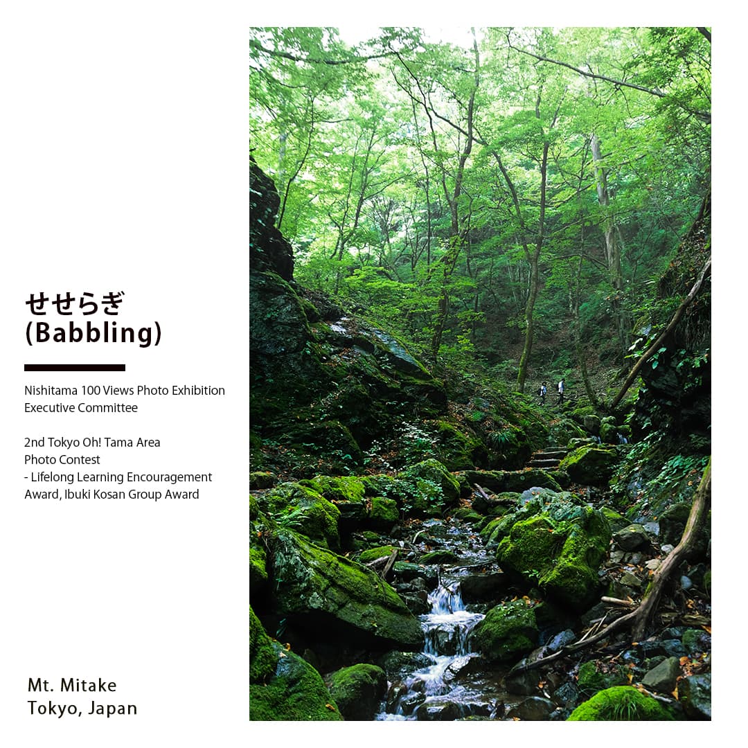 Portfolio - Babbling