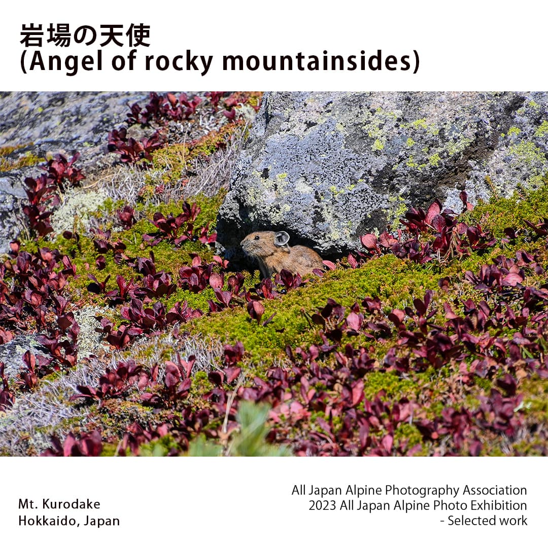 Portfolio - Angel of rocky mountainsides