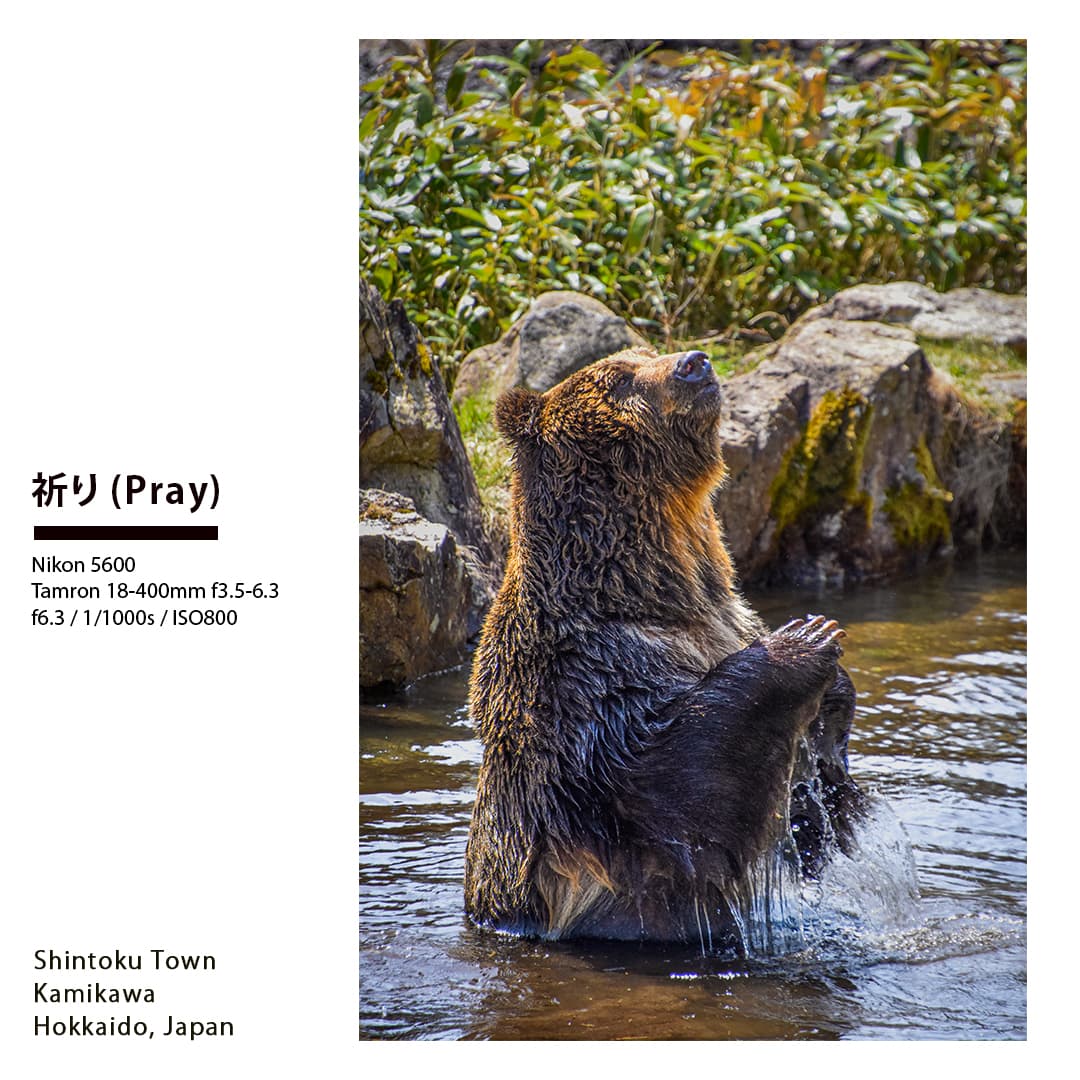 Portfolio - Pray