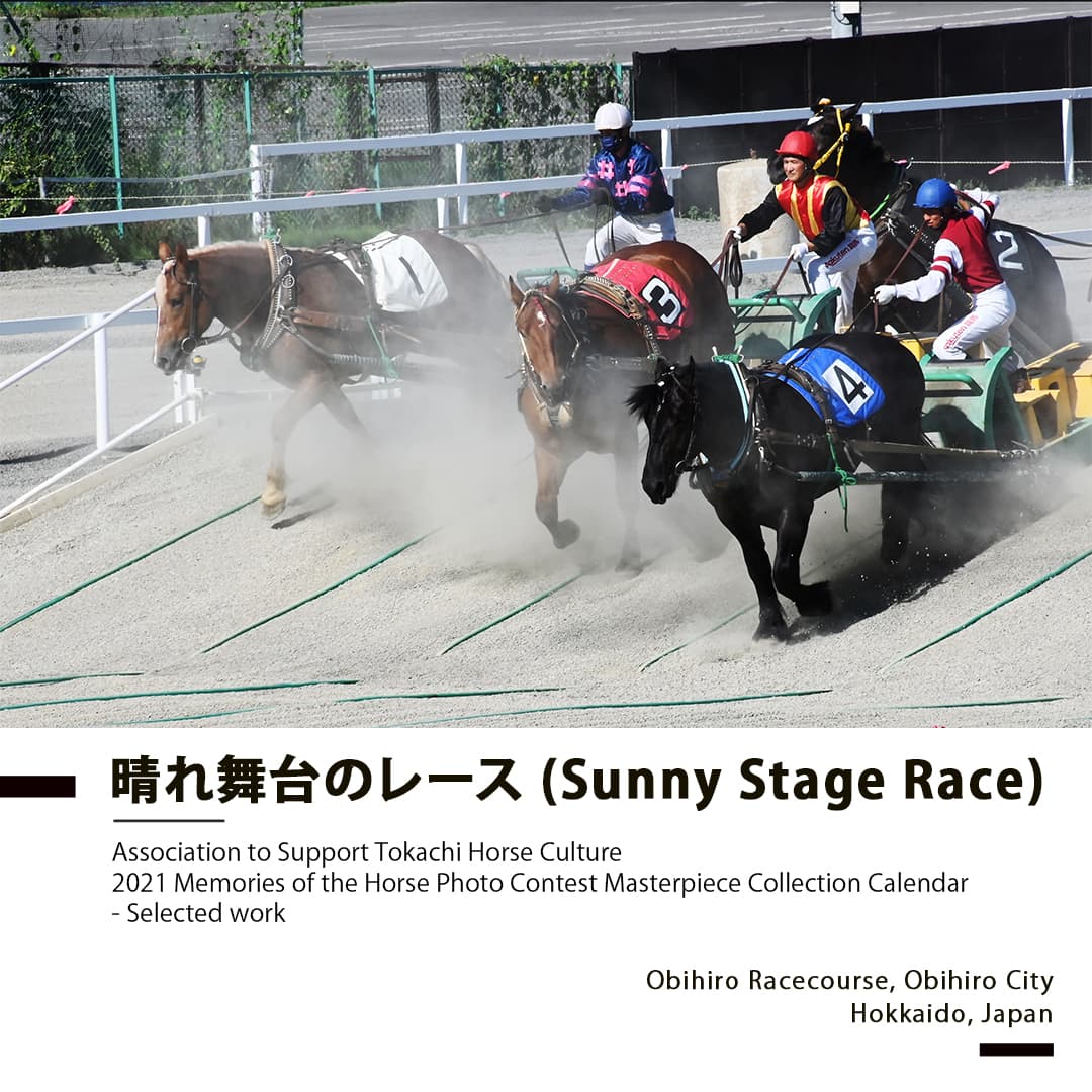 Portfolio - Sunny Stage Race