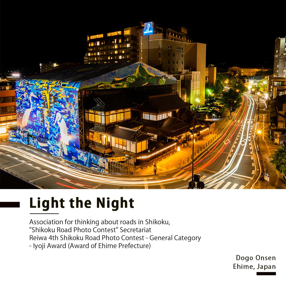 Portfolio - Light the Night